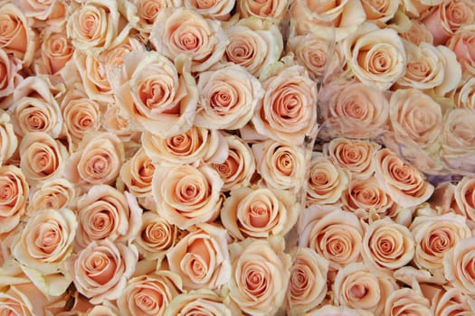 closeup picture of  flowers (roses)  in a shop in paris