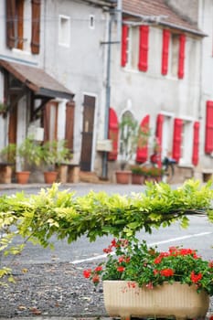 street with flowers