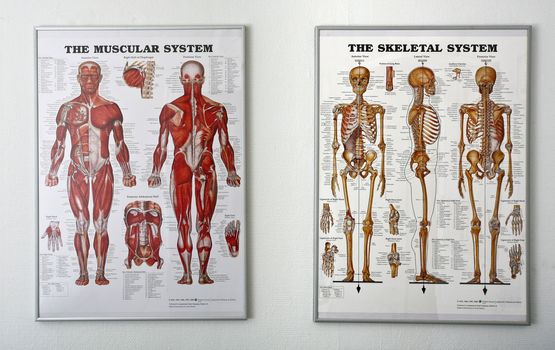 Massage in denmark in a chiropractise clinic (real situation)