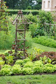 vegetable garden 