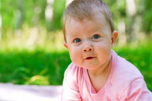 Small baby in a wood