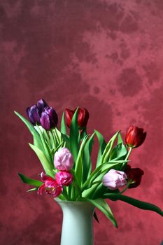 Bouquet of colorful tulip in a vase
