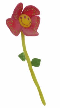pink flower with happy face isolated on white background
