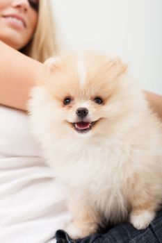 young woman playing with her tinny dog at home