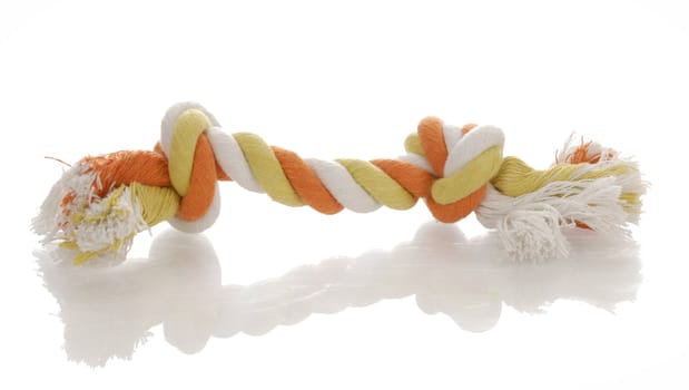 orange and yellow dog tug rope toy with reflection on white background