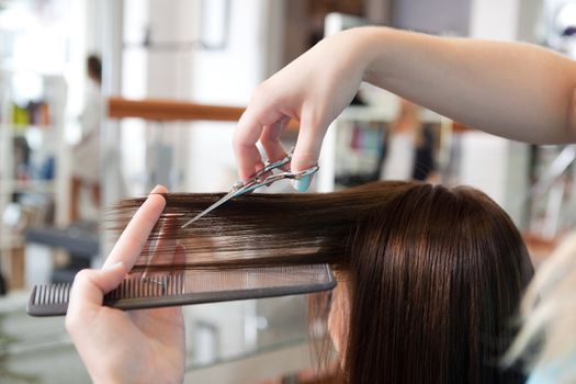 Hairdresser cutting client's hair in beauty salon.