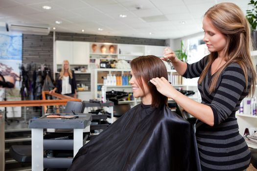 Hairdresser cutting client's hair in beauty salon.