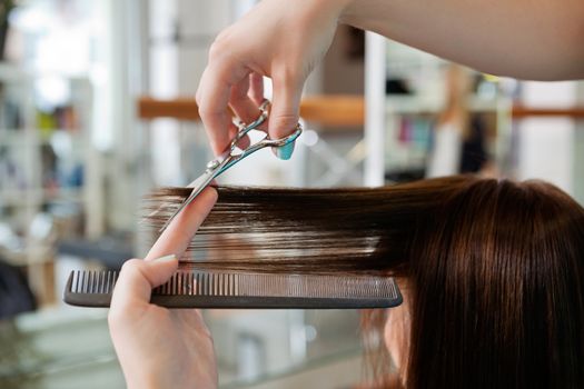 Close up of beautician's hand with a comb cutting hair of woman