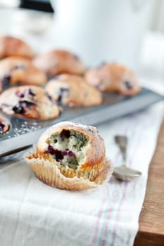 blueberries muffins