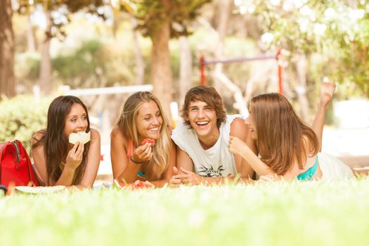 Friends on healthy fruit picnic at sunny day