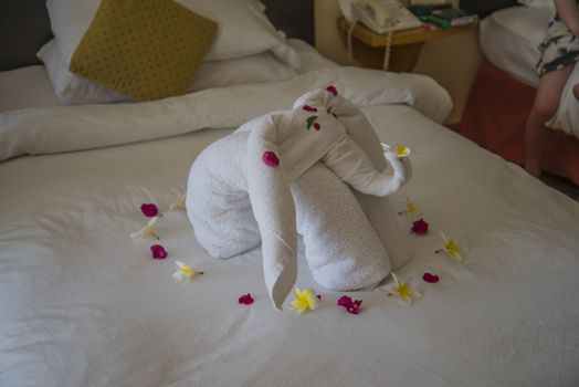 Every afternoon it was made a shape of a towel on the bed in the hotel room at the Hilton Sharm Dreams Naama Bay, Egypt.