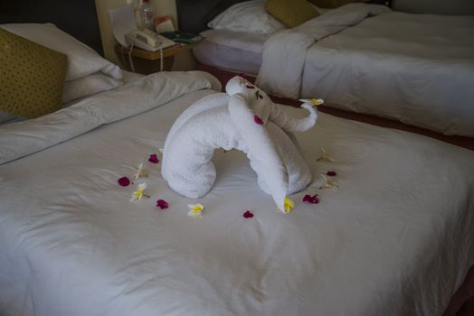 Every afternoon it was made a shape of a towel on the bed in the hotel room at the Hilton Sharm Dreams Naama Bay, Egypt.