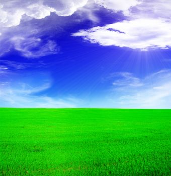 Summer landscape - blue sunny sky and green field