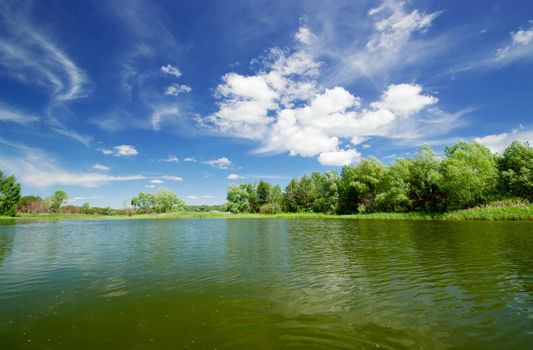 Forest lake under cloudy sky