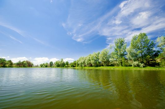 Forest lake under blue sky