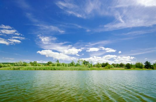 Forest lake under blue cloudy sky