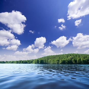 Shore of forest lake under blue sky