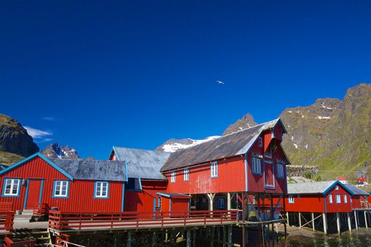 Traditional old red fishing port and factory on Lofoten islands in Norway