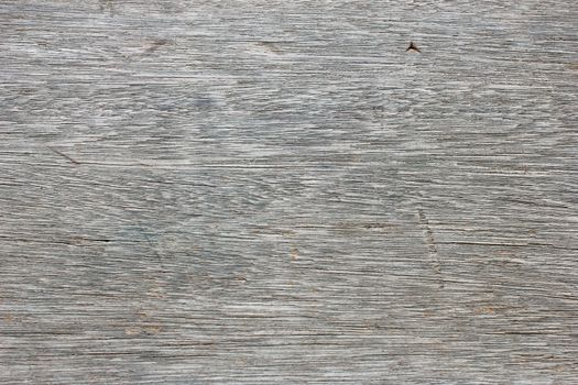 Old natural wood texture