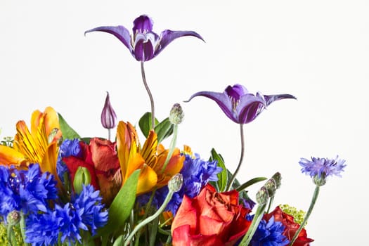 Huge flower bouquet on white background