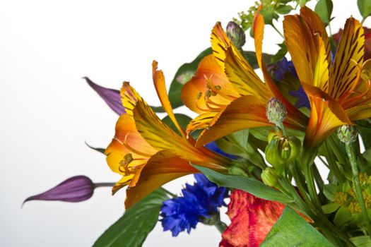 Huge flower bouquet on white background