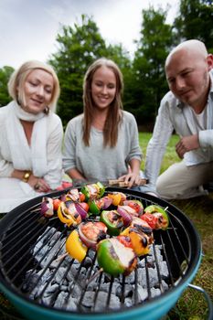 Group of friends barbecuing in the park - shallow depthof field, focus on kebabs