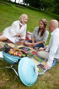 Friends relaxing and visiting in park with barbecue