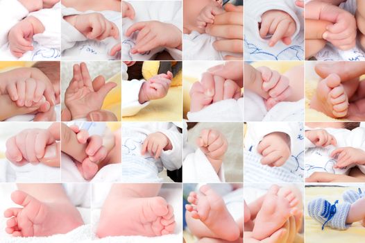 new born baby composition, set