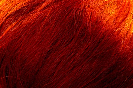 Hair