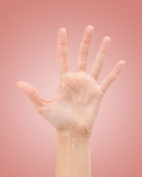 Open woman hand or number five isolated on white 