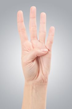 Hand Gesture - Number Four isolated on white