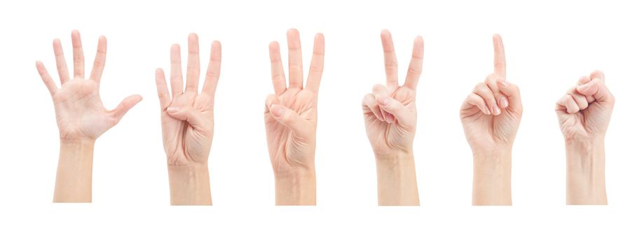 Counting woman hands (0 to 5) isolated on white background