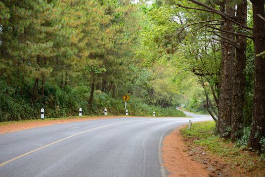 The S curve asphalt road is go down from hill along with forest