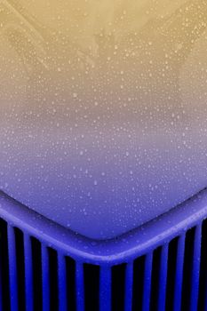 raindrops on a vehicle hood