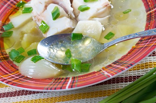 Ukha. Russian home  traditional fish soup.