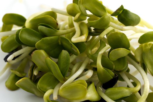 handful of green sprouts  isolated on white background - macro