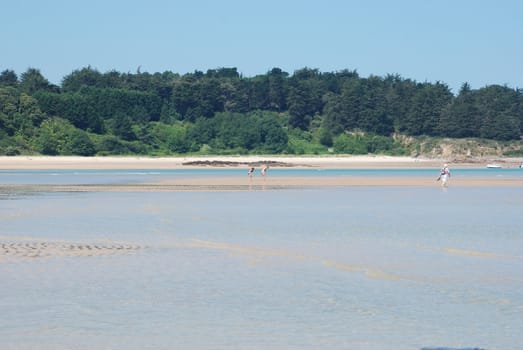 Sandy beach