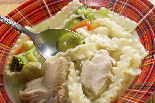 Chicken homemade  soup with noodle and vegetables