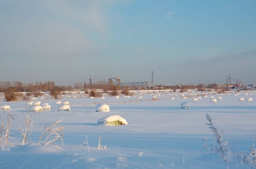 Frozen trees in snowy field.Winter landscape.