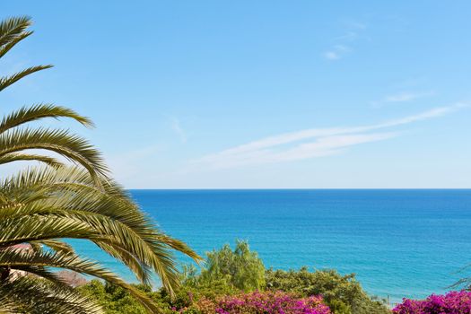 Landscape of Mediterranean sea with vegetation