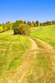 Landscape composed of a winding road, meadow and blue sky