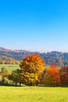 Autumn landscape composed of wood, mountains and meadow