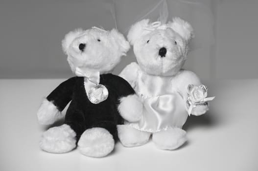 Two wedding teddy bears on white
