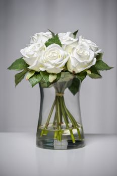White roses in vase on light grey background