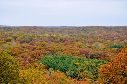 Brown County State Park