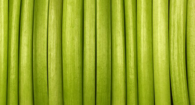 Green background made from organic material - cut flowers