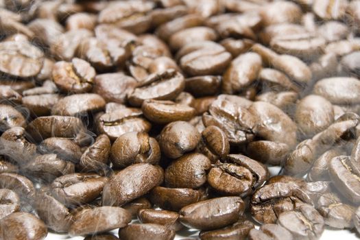 Fresh roasted coffee beans on a white background