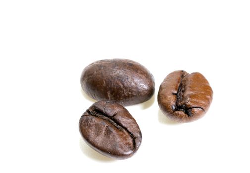 Fresh roasted coffee beans on a white background