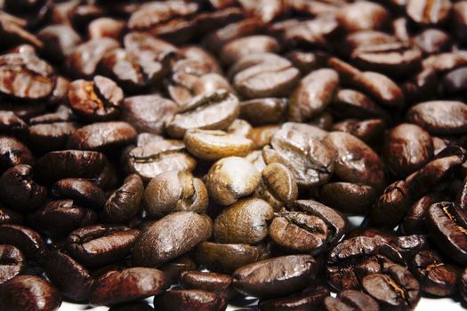 Fresh roasted coffee beans on a white background