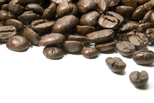 Fresh roasted coffee beans on a white background